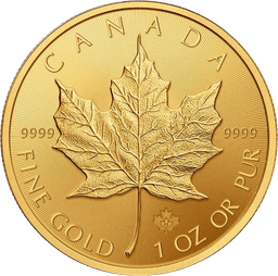 Gold Canadian Maple